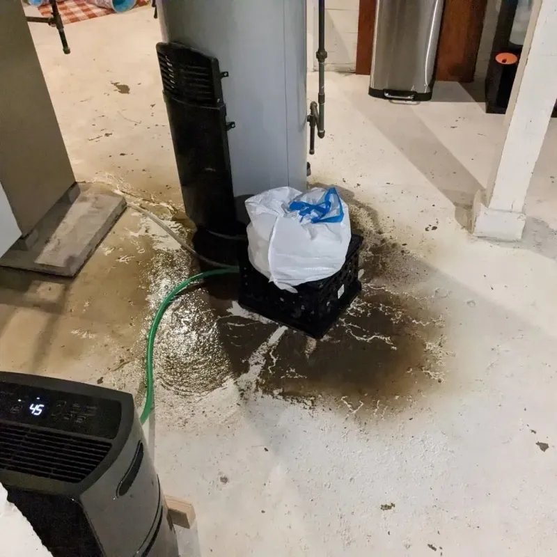 Sewage Backup Cleanup Service in Hazen, AR